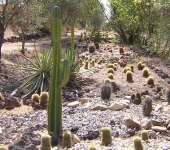 Cactus Park © Cactus Park
