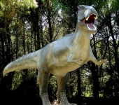 Musée des Dinosaures © Musée des Dinosaures
